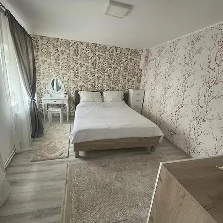 Hébergement de vacances Casa Ancuta